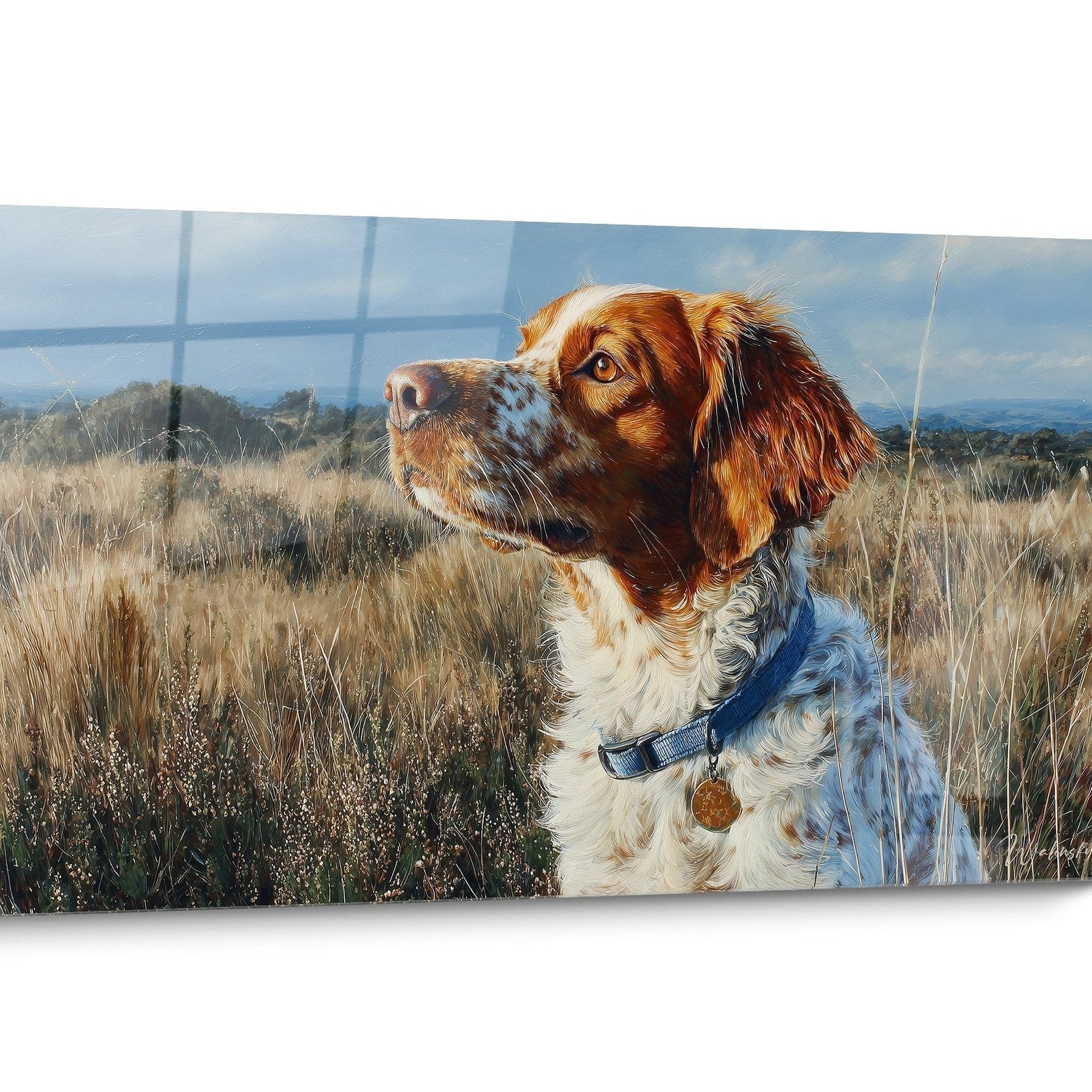 Tableau chien Epagneul Breton Champetre