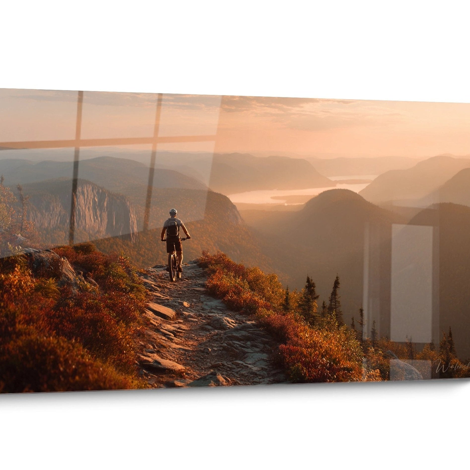 Mountain Bike Cross Country Sunset Wall Art