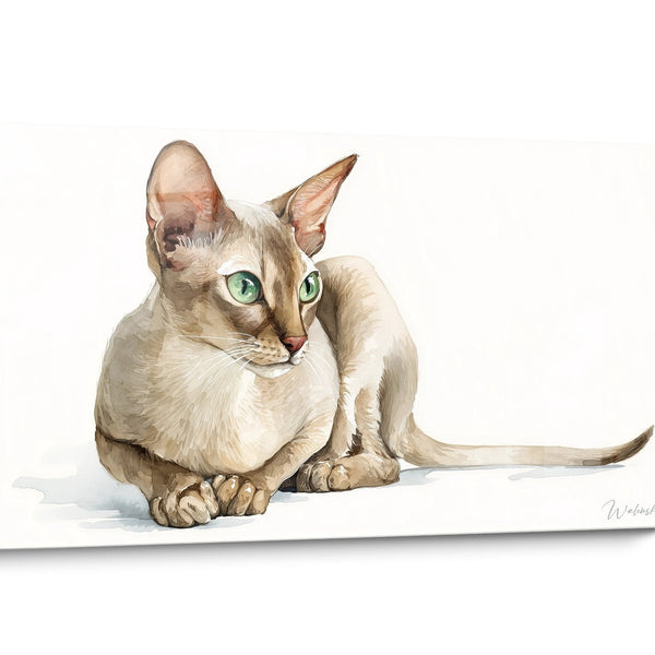 Tableau chat Singapura Aquarelle