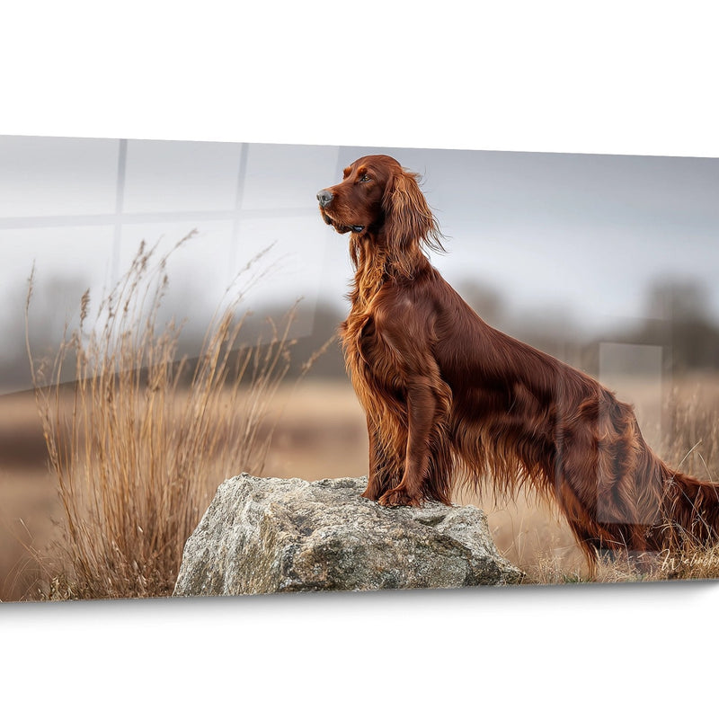 Irischer-Setter-Gemälde