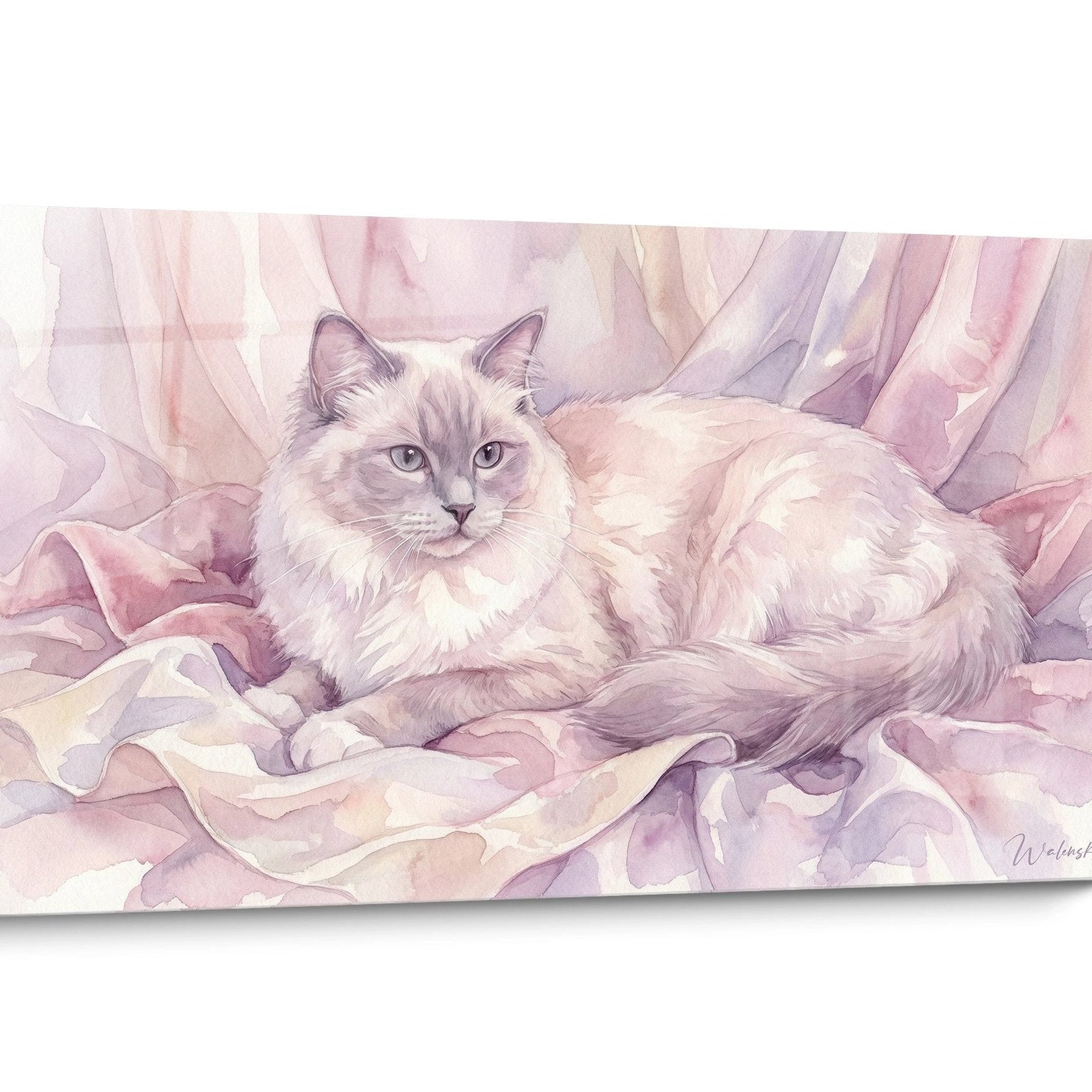 Tableau chat Ragdoll Aquarelle
