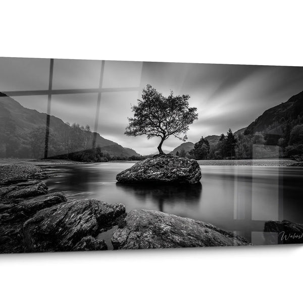 Tableau Arbre Noir et Blanc