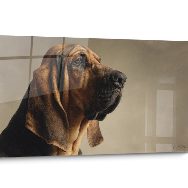 Tableau chien Bloodhound Réaliste