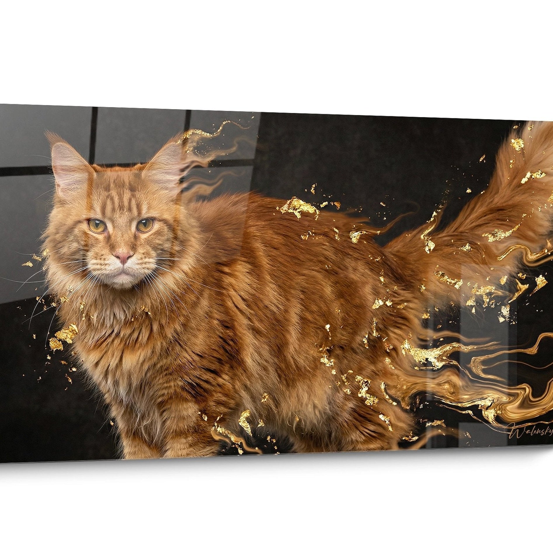 Tableau chat Maine Coon Abstrait