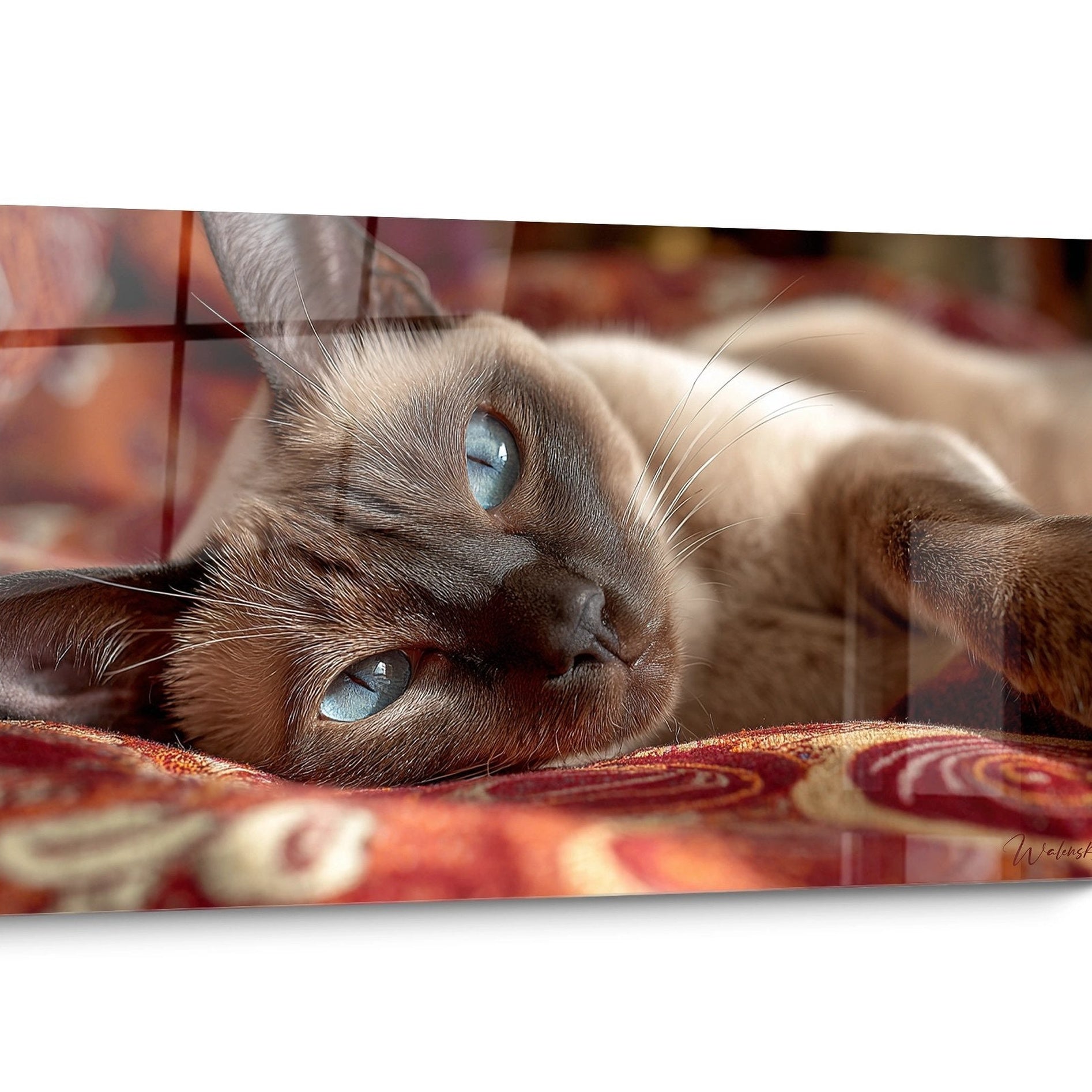 Tableau chat Tonkinese Realiste