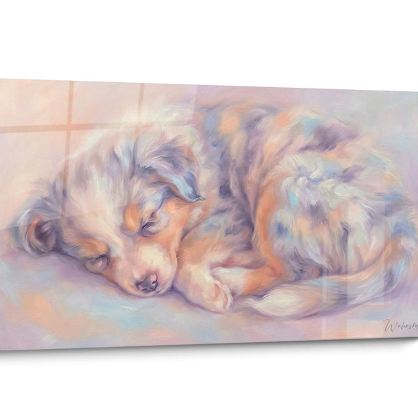 Quadro cane pastore americano in miniatura acquerello