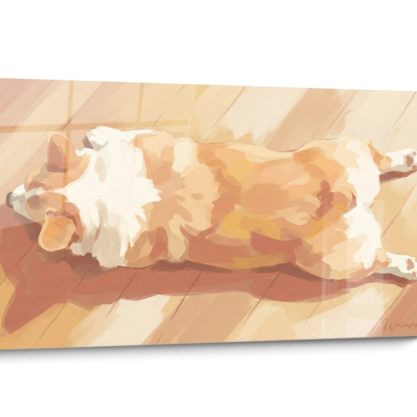 Bild Hund Corgi Pembroke Golden