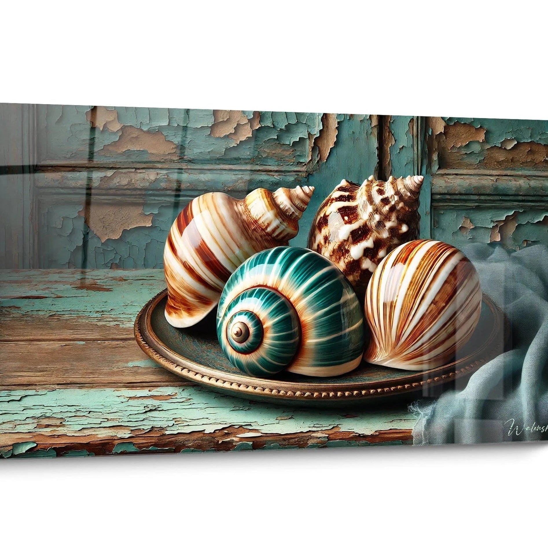 Shell Wall Art