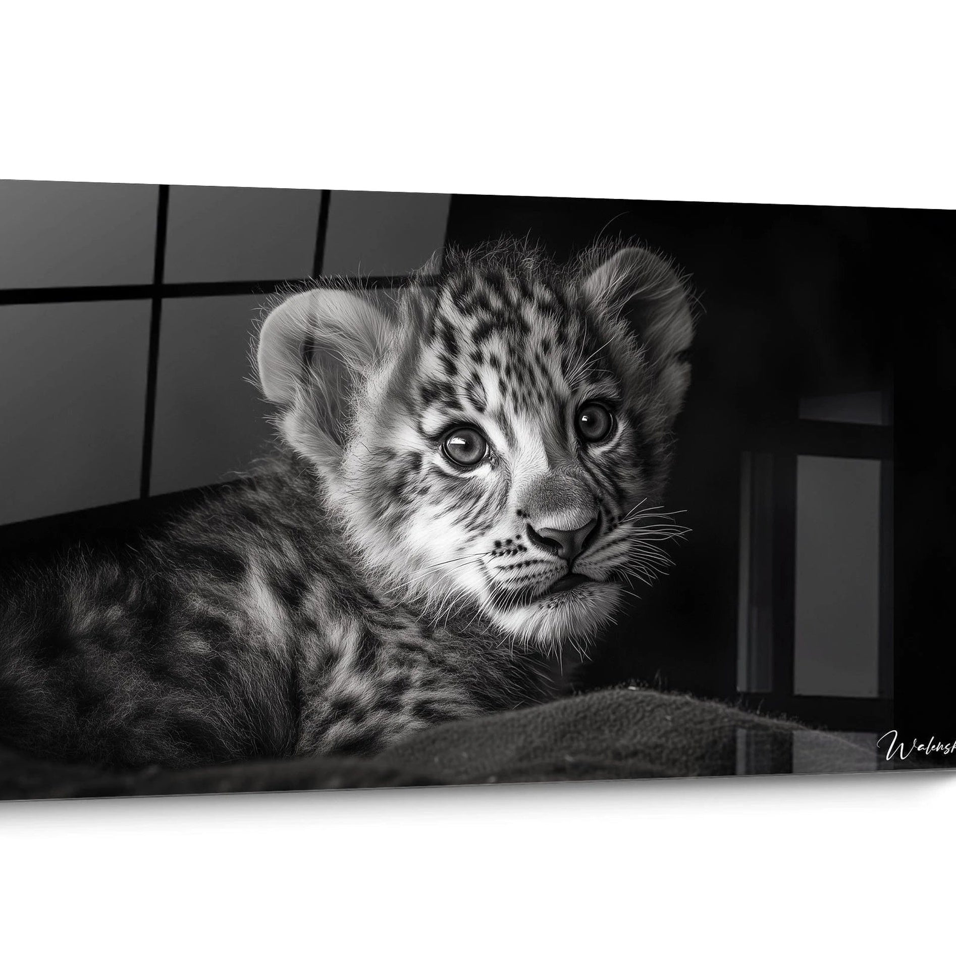Black and white animals modern wall art