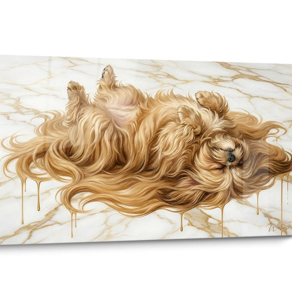 Tableau chien Lhassa Apso Moderne