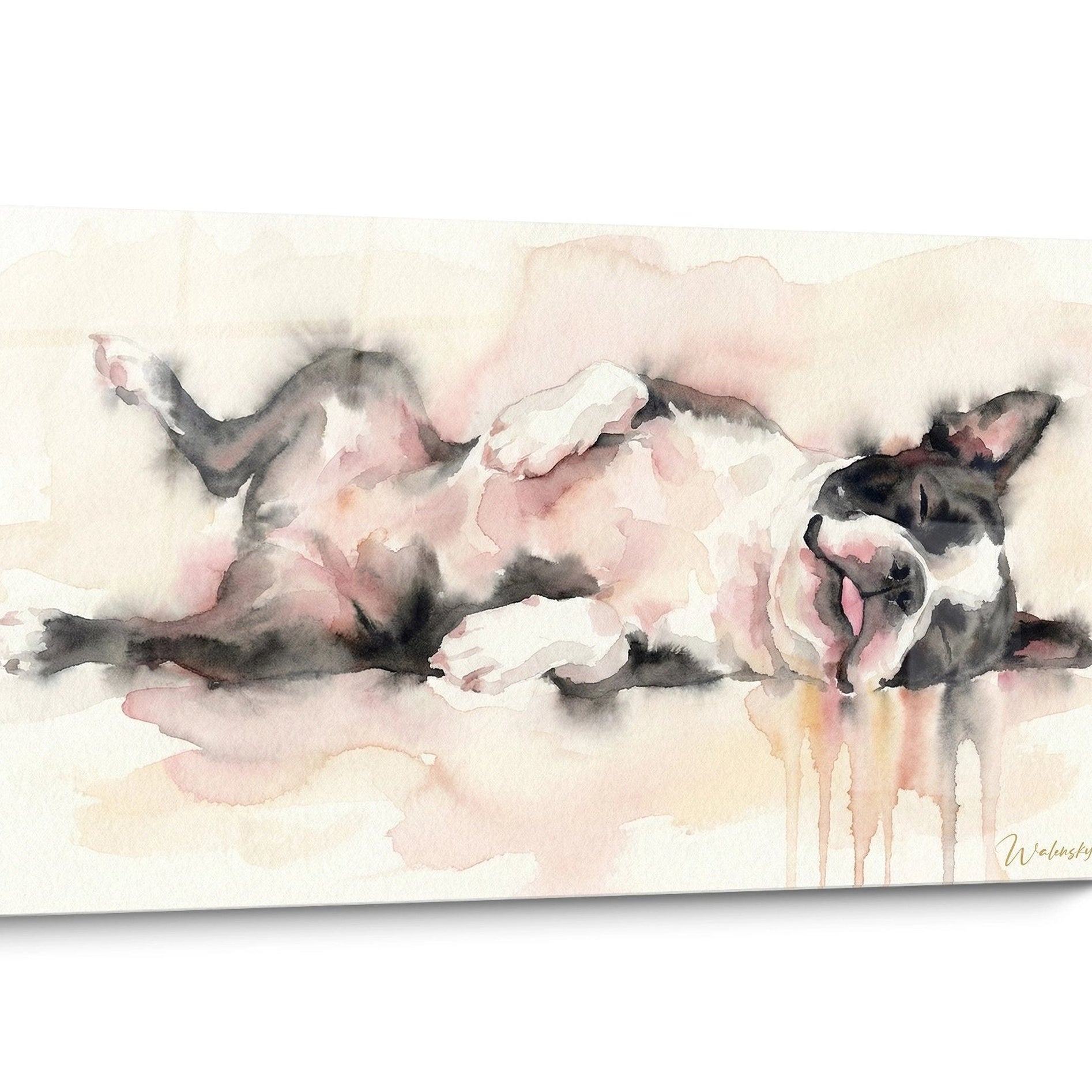 Boston Terrier Hund Porträt Wandbild