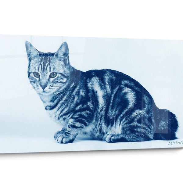Tableau chat American Bobtail Noir et Blanc