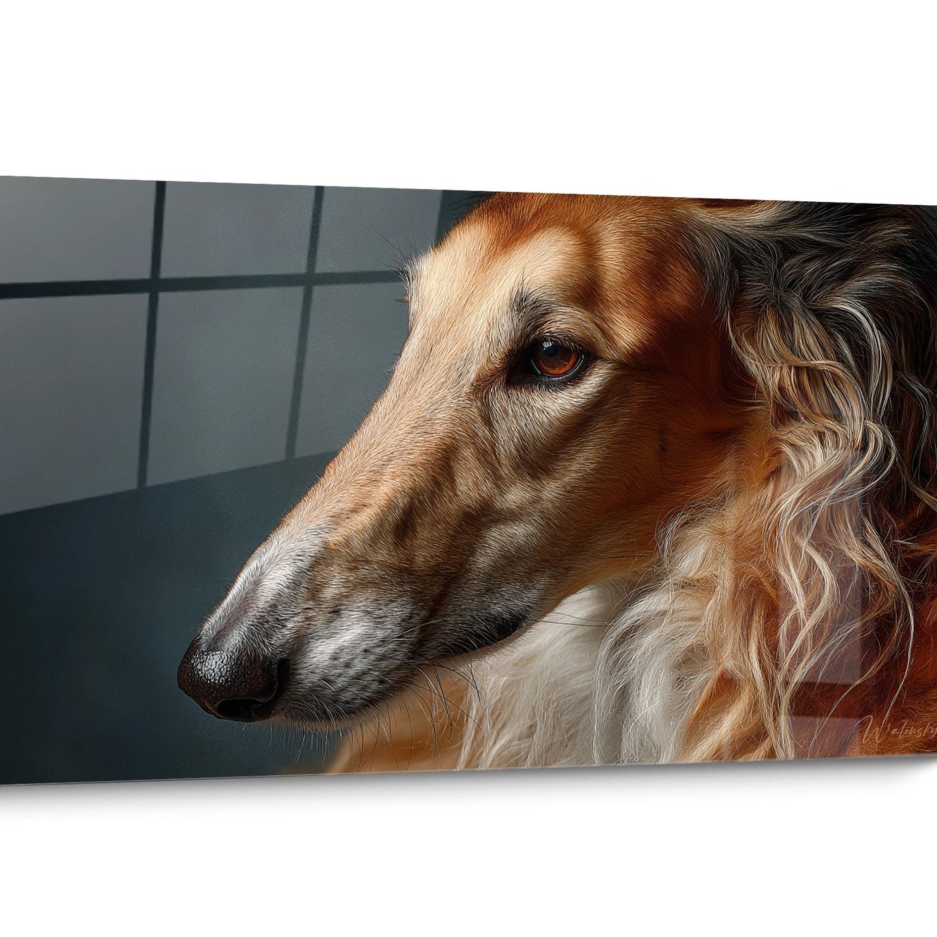 Tableau chien Barzoi Doré