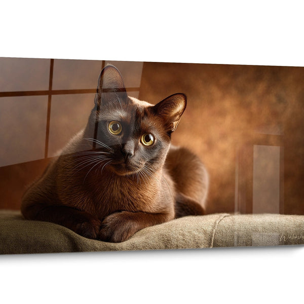 Quadro gatto Burmese Moderno