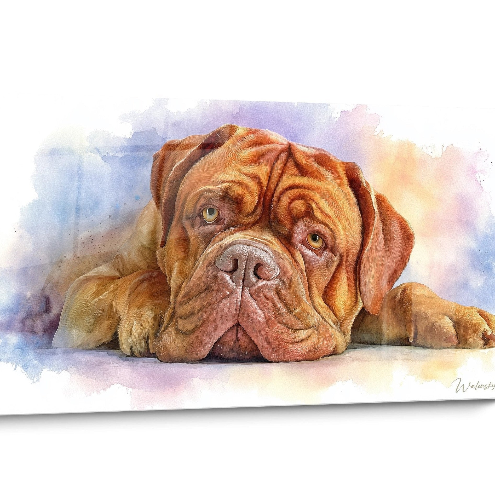 Tableau Dogue de Bordeaux Aquarelle