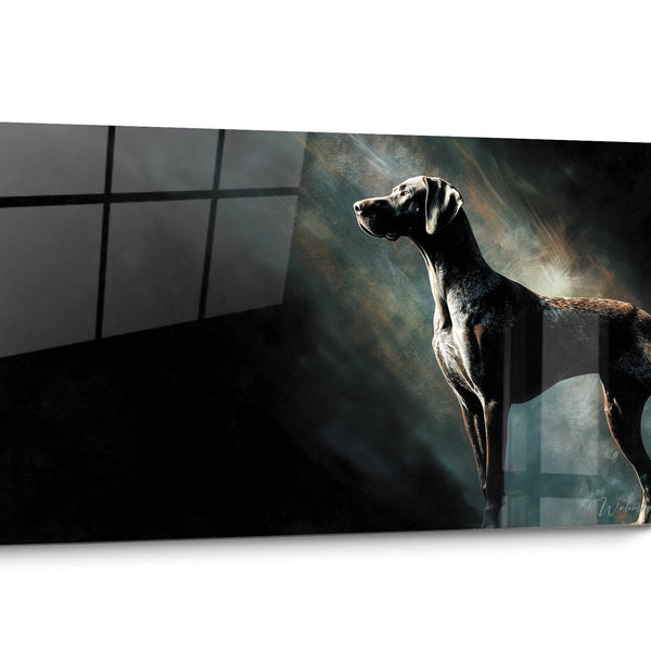 Quadro Cane Bracco Tedesco Dorato