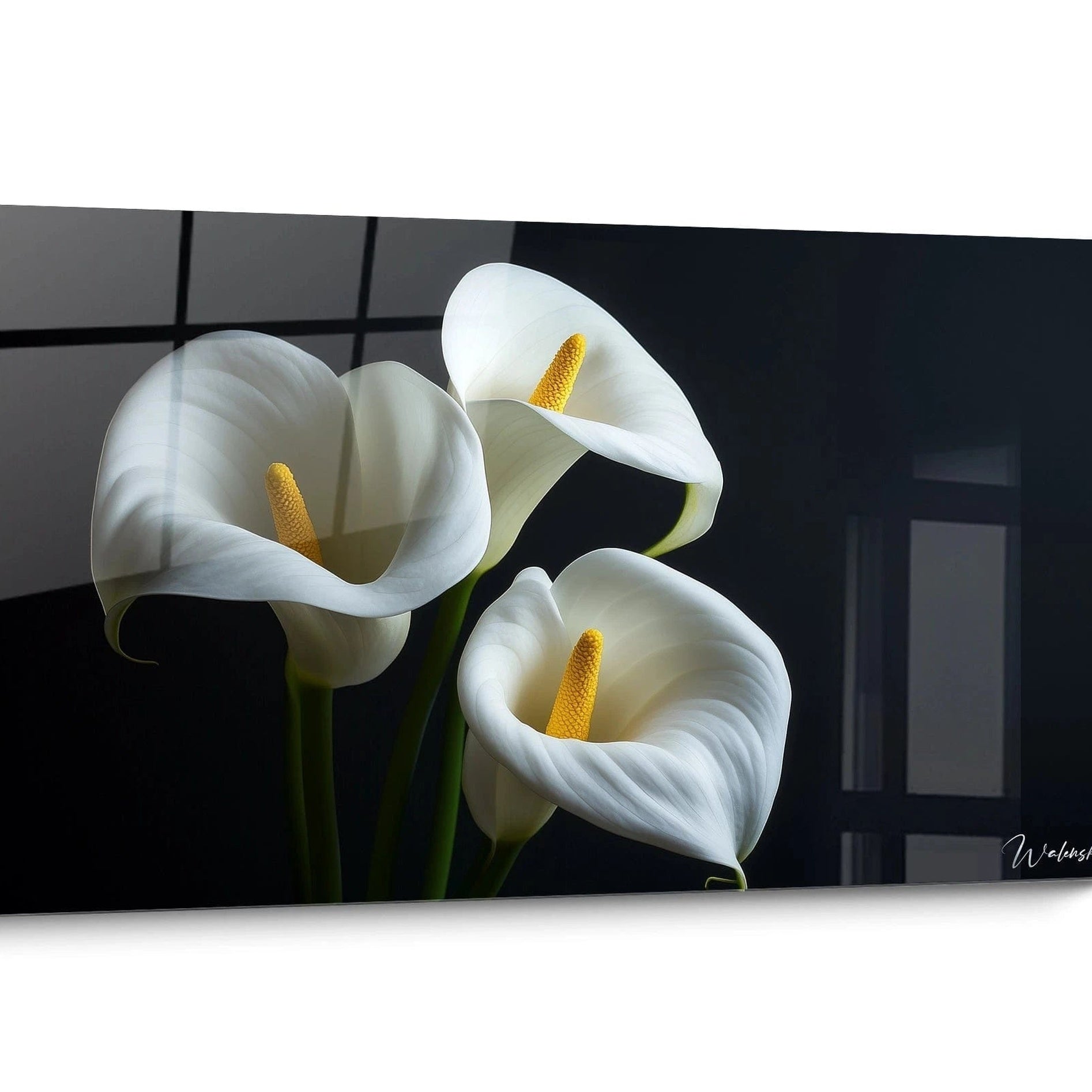 Tableau pour salle d'attente Noir et Blanc