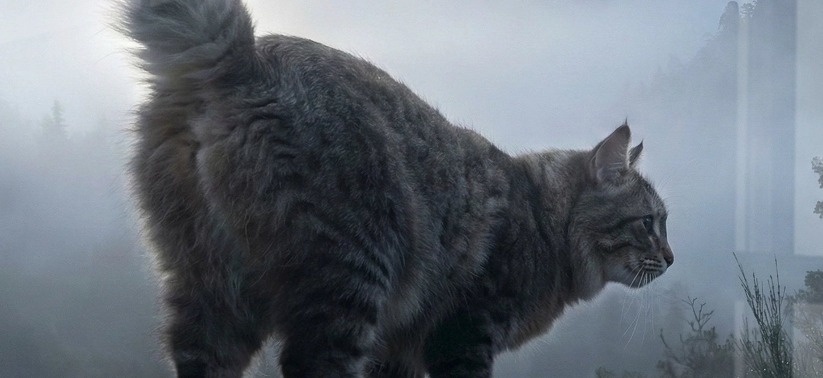 Gemälde Kurilen-Bobtail-Katze Berg