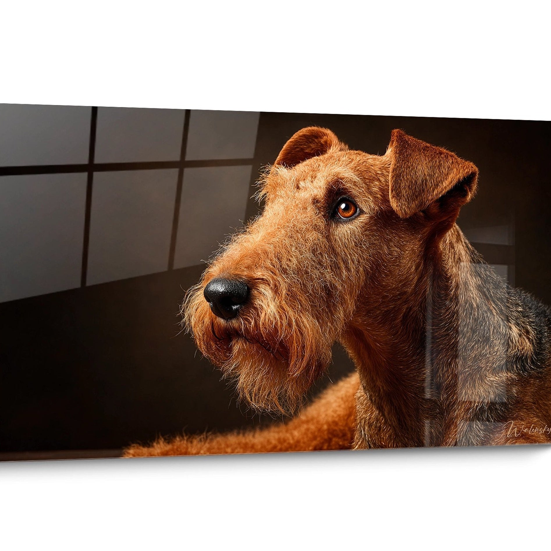 Gemälde Airedale Terrier Hund Golden