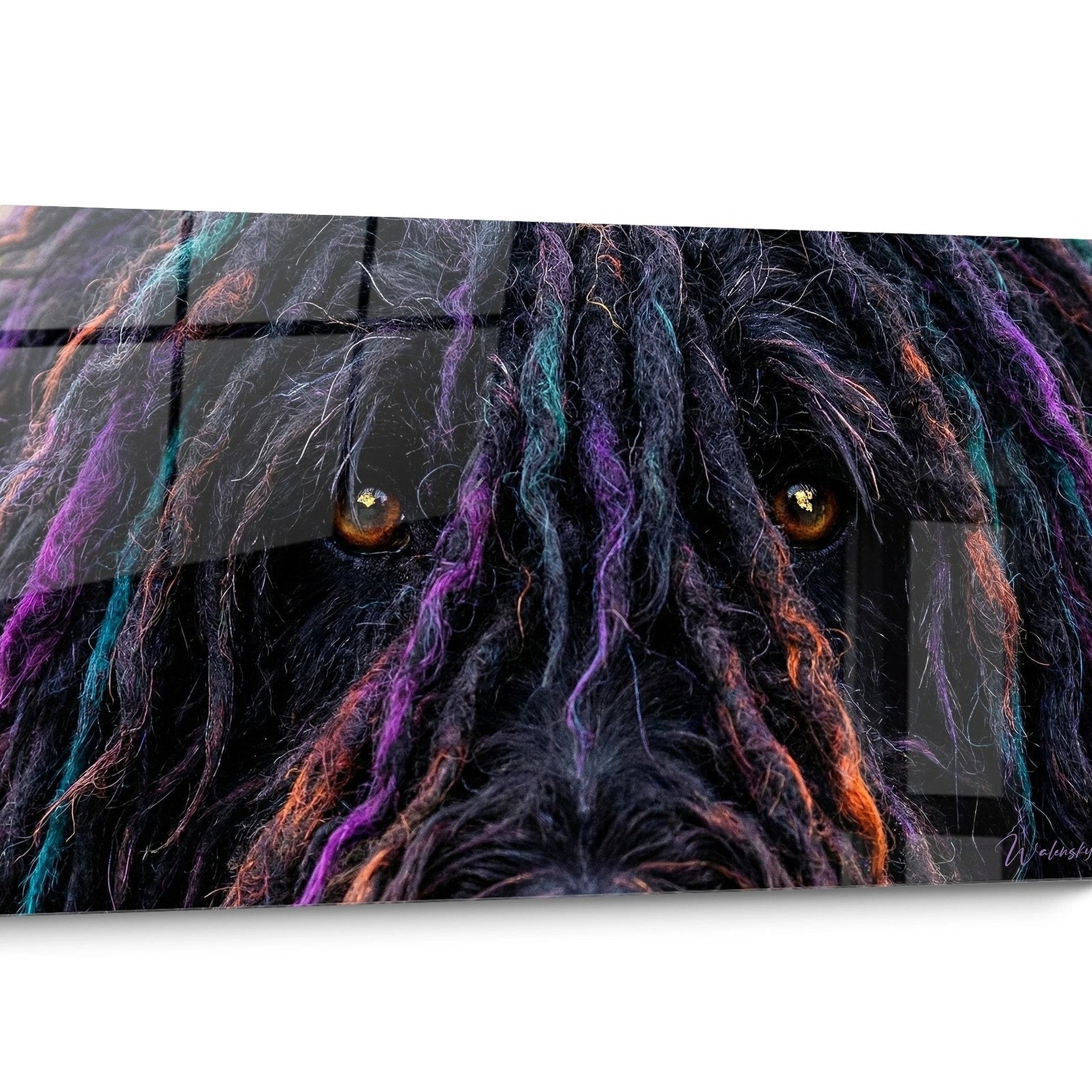 Tableau Puli