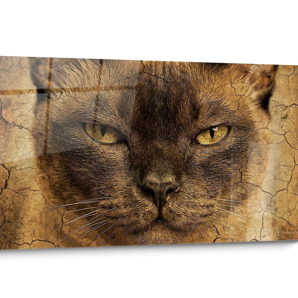 Tableau chat Burmese Réaliste