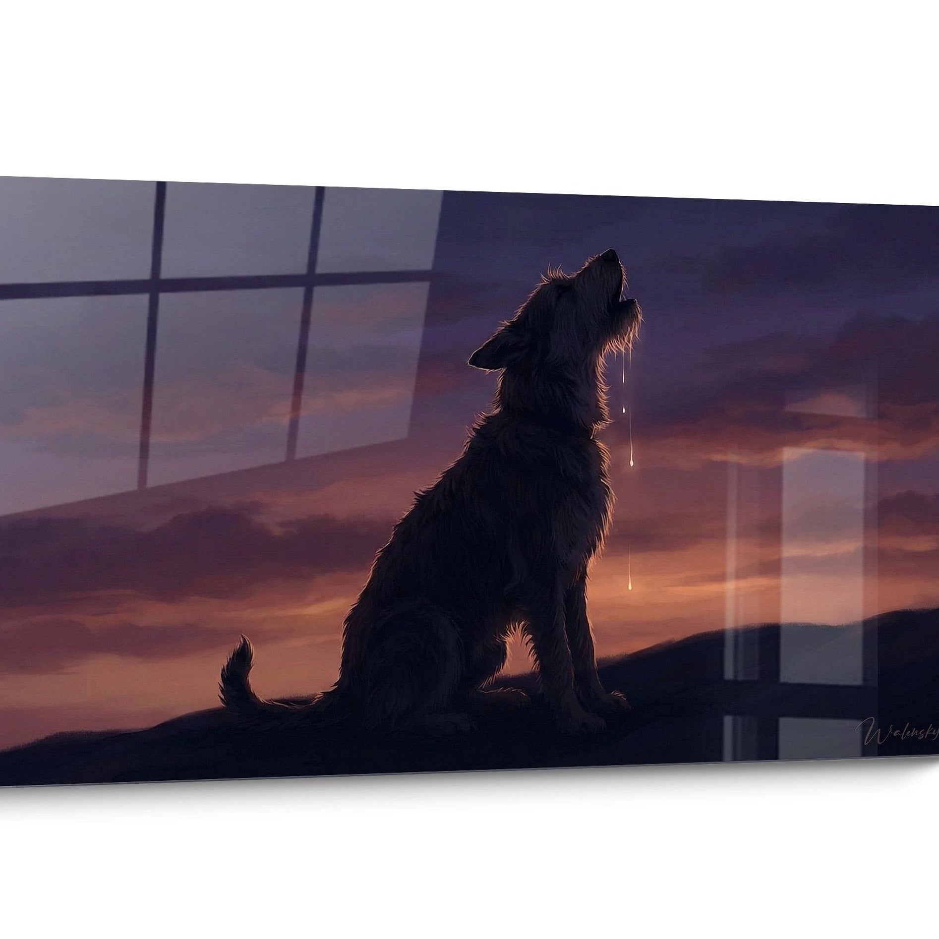Picardy Shepherd Dog Black and White Wall Art