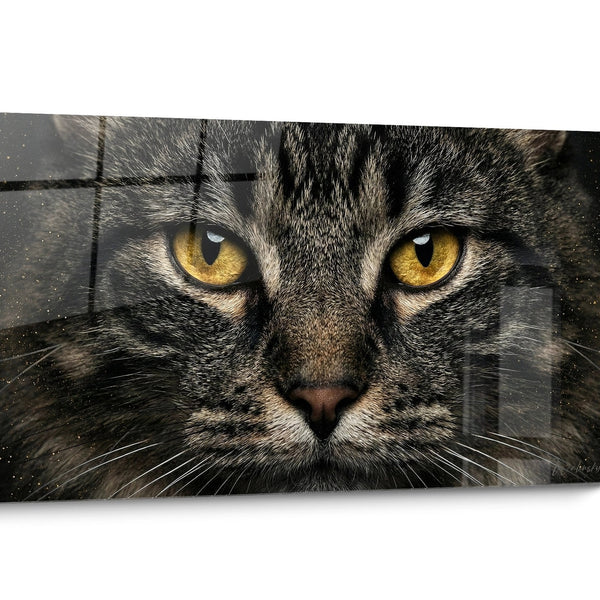 Tableau chat Kurilian Bobtail Doré
