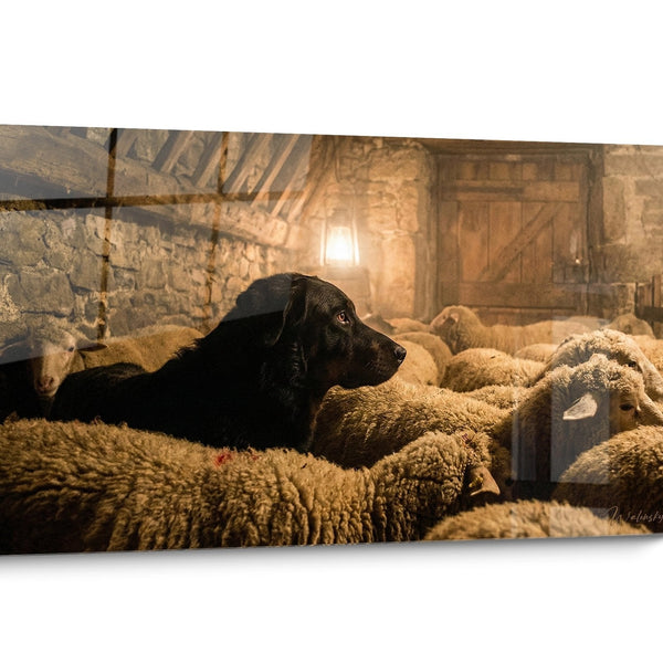 Realistische Beauceron Hundetafel