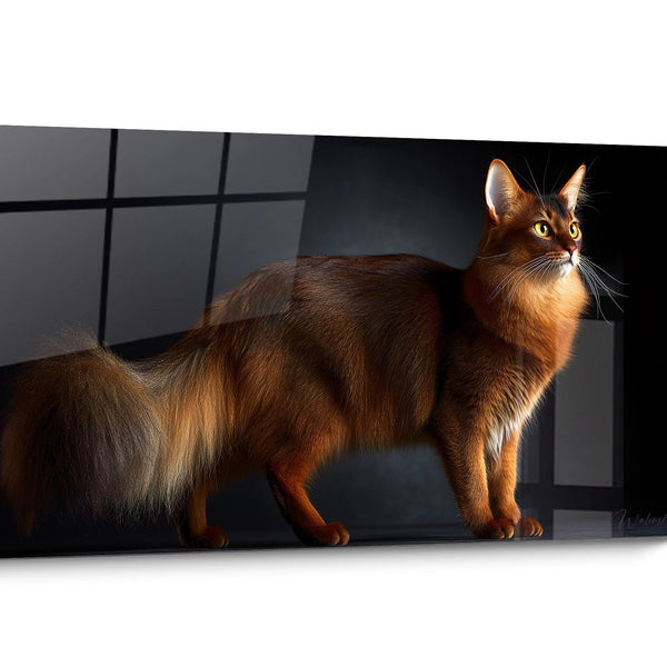 Golden Somali Cat Wall Art