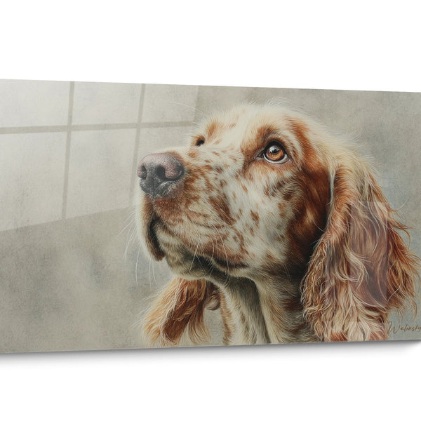 Tableau chien Cocker Americain Contemplatif