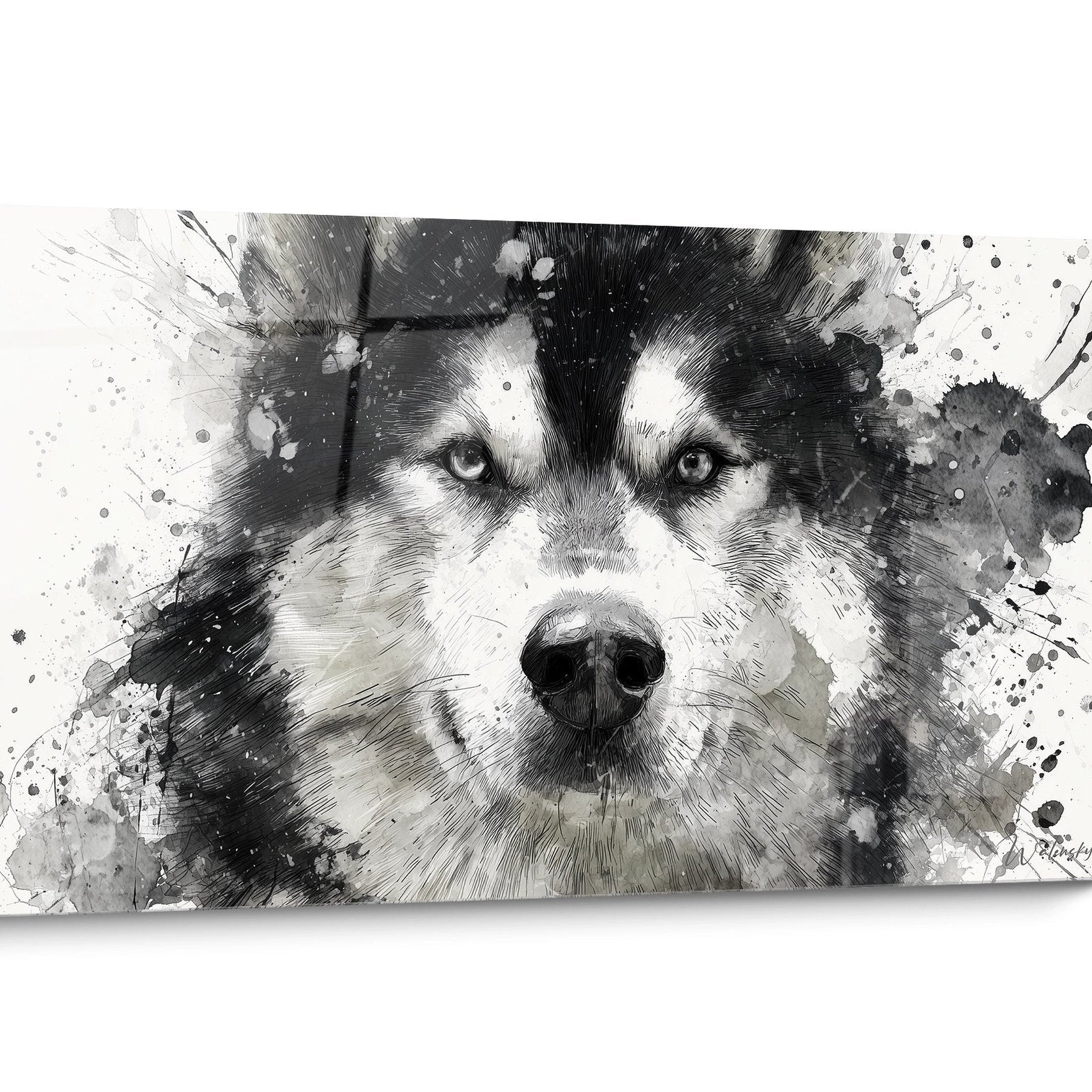 Tableau chien Malamute Alaska Noir et Blanc