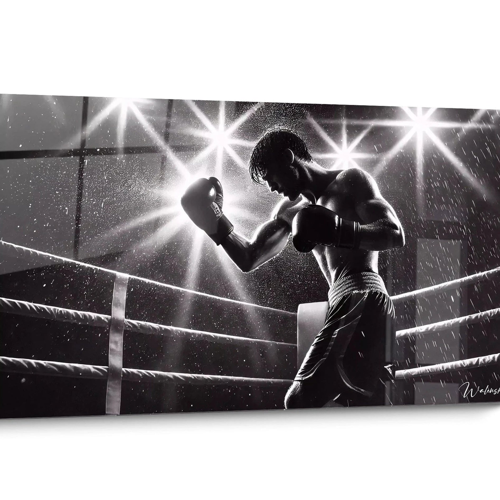 Tableau sports noir et blanc Portrait