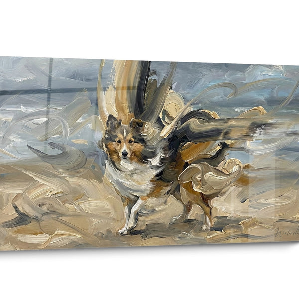 Quadro cane Pastore delle Shetland Tricolore