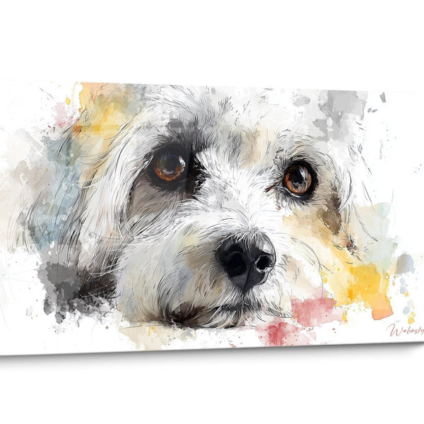 Tableau chien Coton de Tuléar Aquarelle