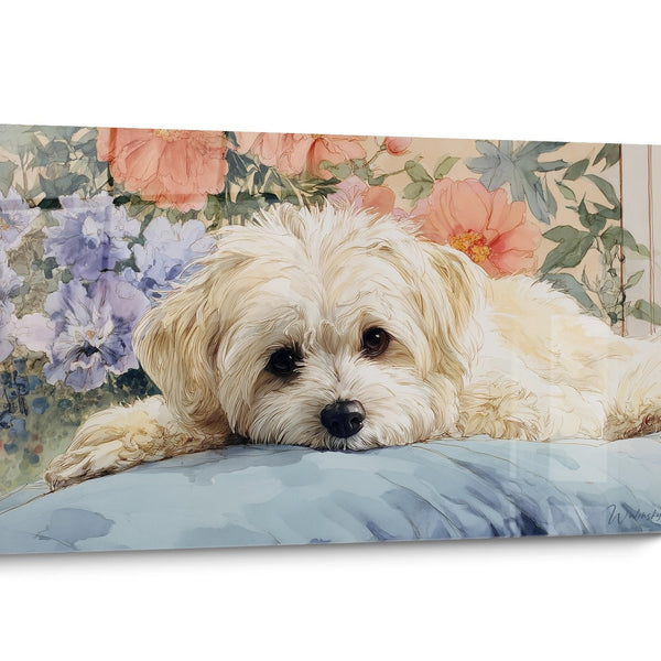Tableau chien Bichon Havanais Aquarelle