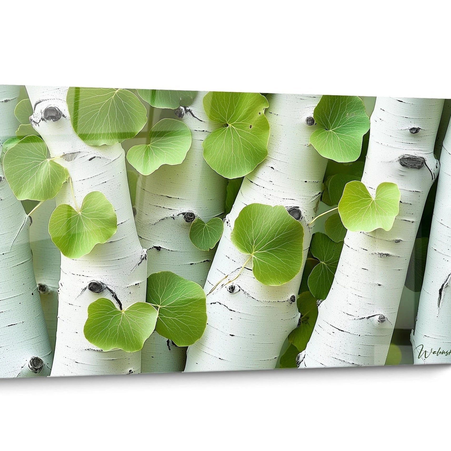 Tableau nature autre