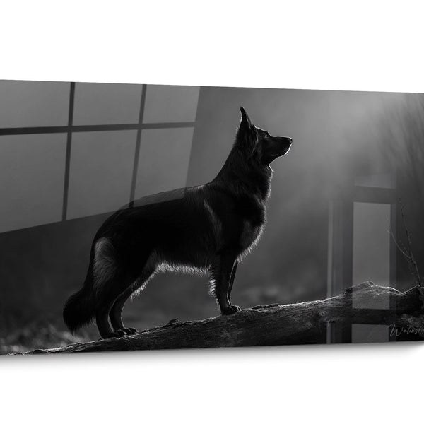 Tableau chien Berger Hollandais Noir et Blanc