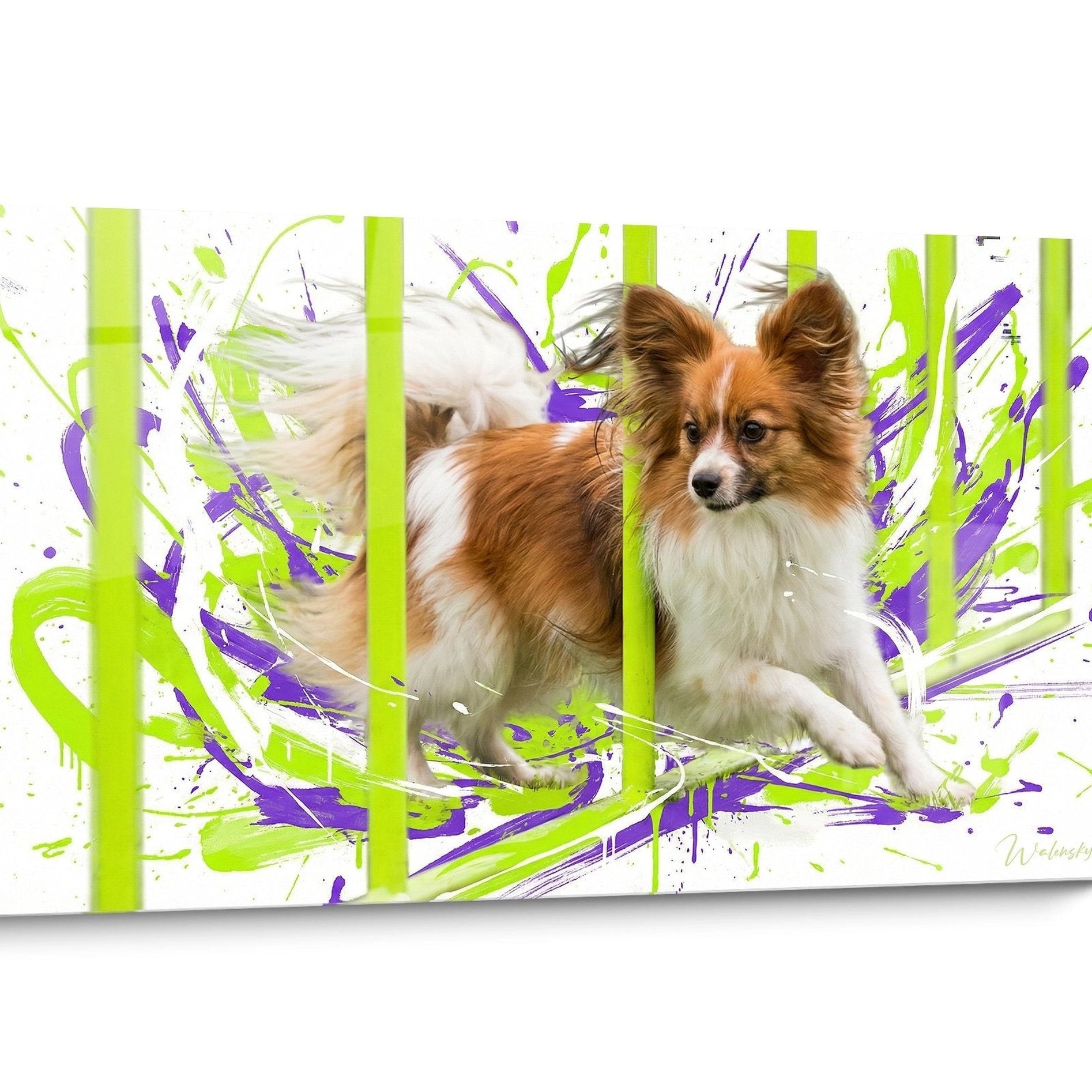 Tableau Chien Papillon Pop Art