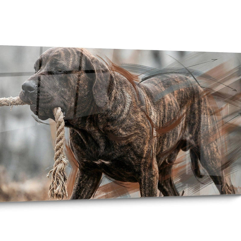 Fila Brasileiro Wandbild