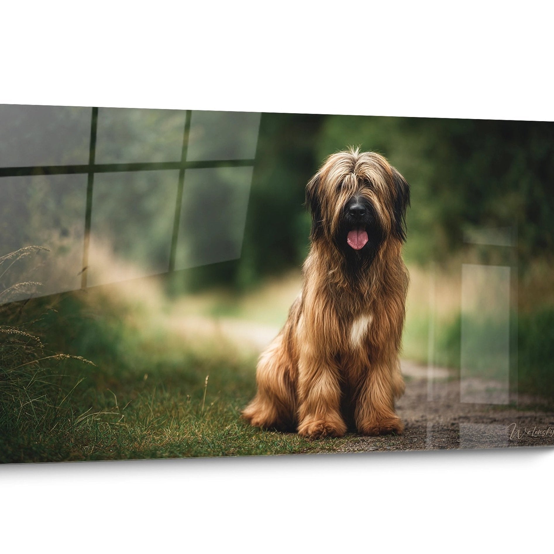 Tableau chien Briard Réaliste