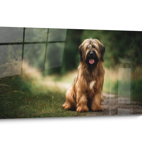 Realistische Briard-Hundetafel