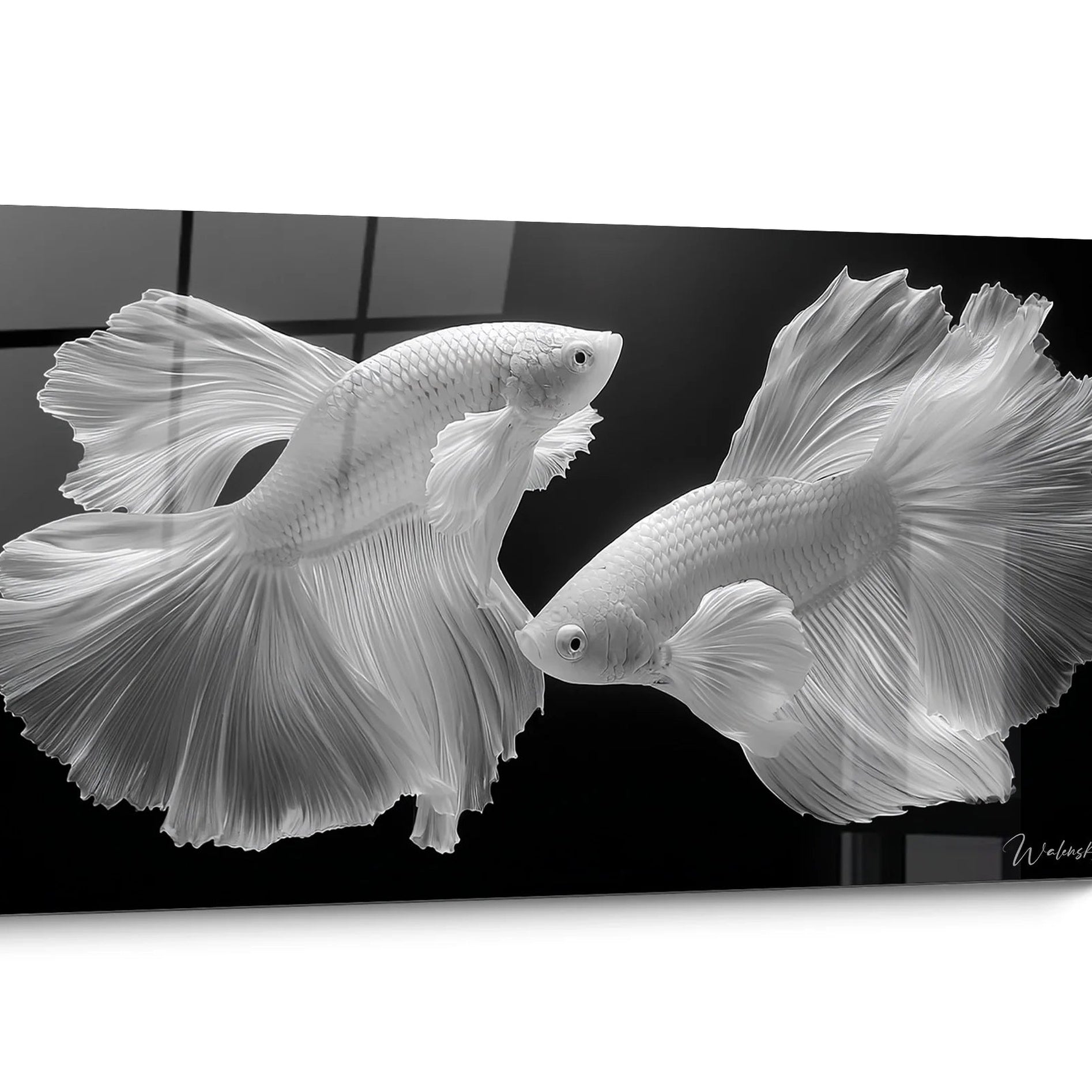 Black and white aquatic animals wall art