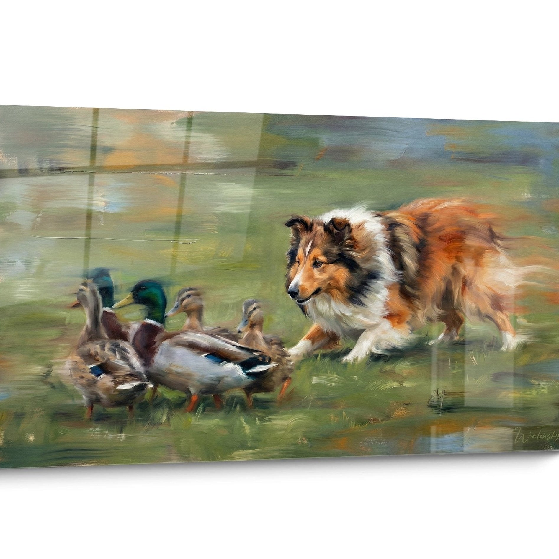 Tableau chien Berger des Shetland Mouvement