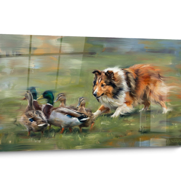 Quadro Cane Pastore delle Shetland in Movimento