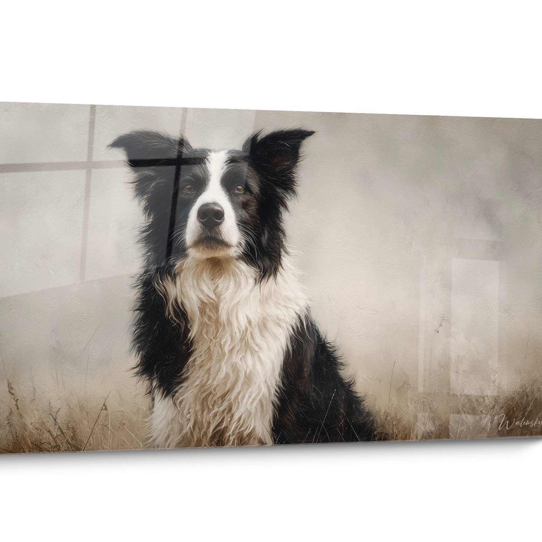 Tableau chien Border Collie Tricolore