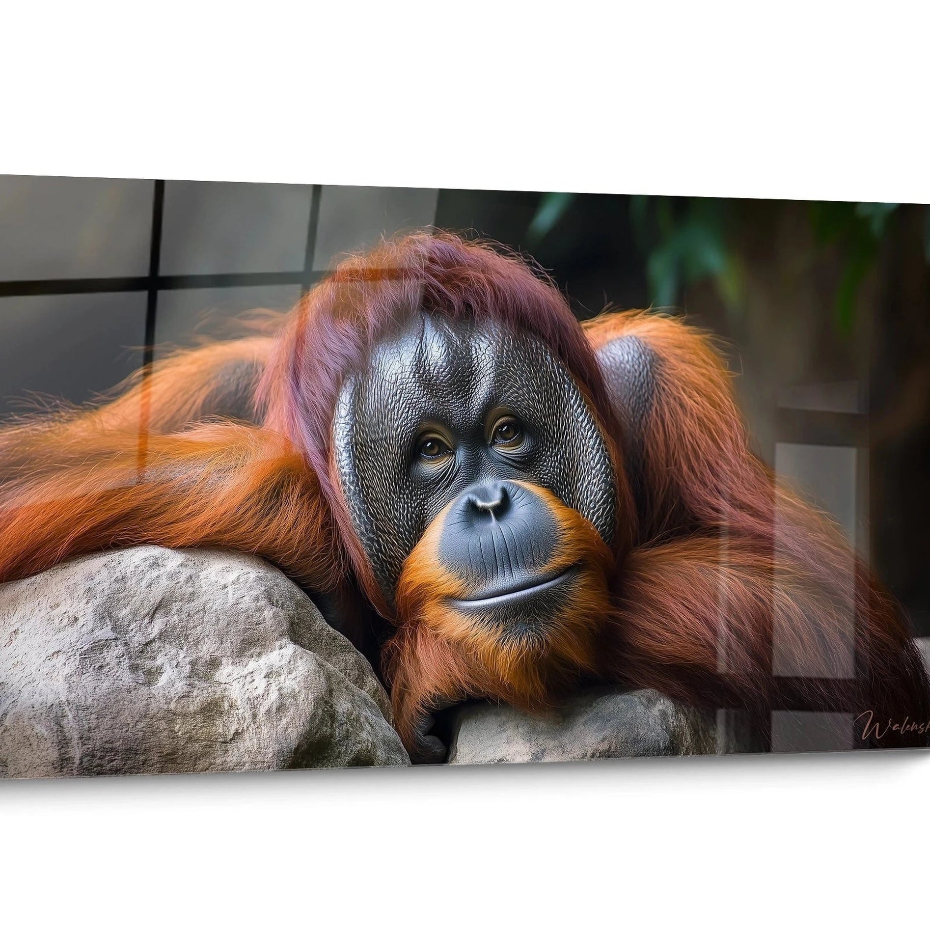 Tableau orang outan Portrait