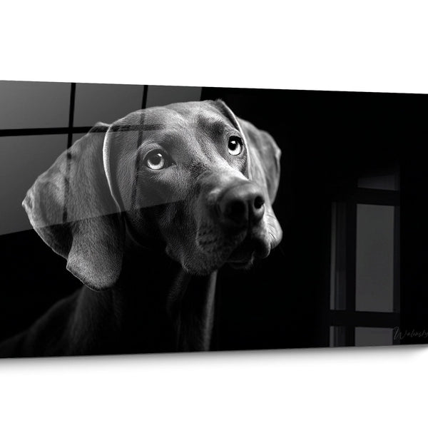 Tableau chien Weimaraner Noir et Blanc