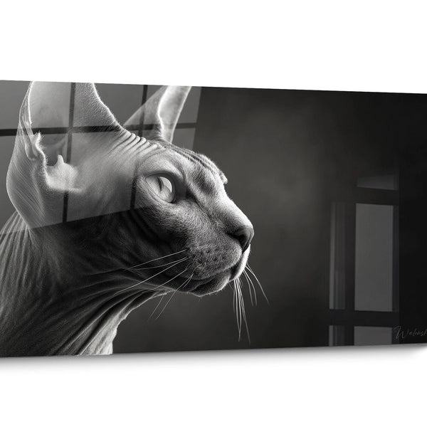Tableau chat Sphynx Noir et Blanc
