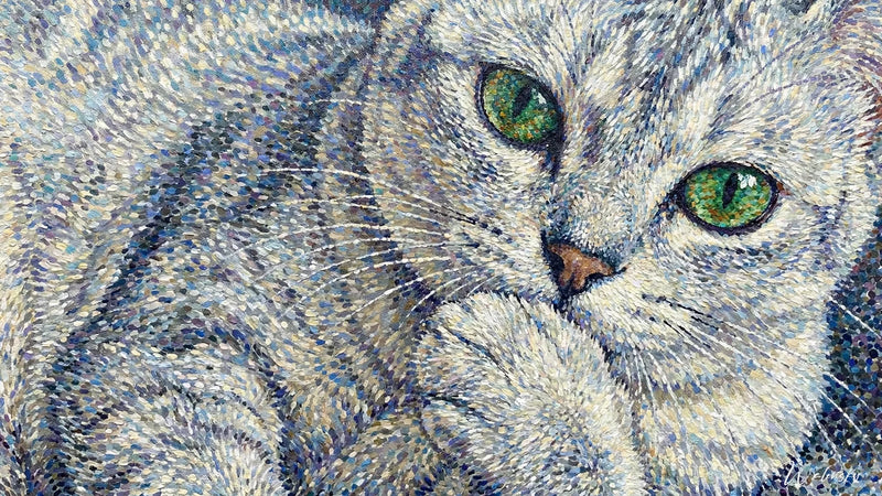 Tabella chat Gatto Blu Russo