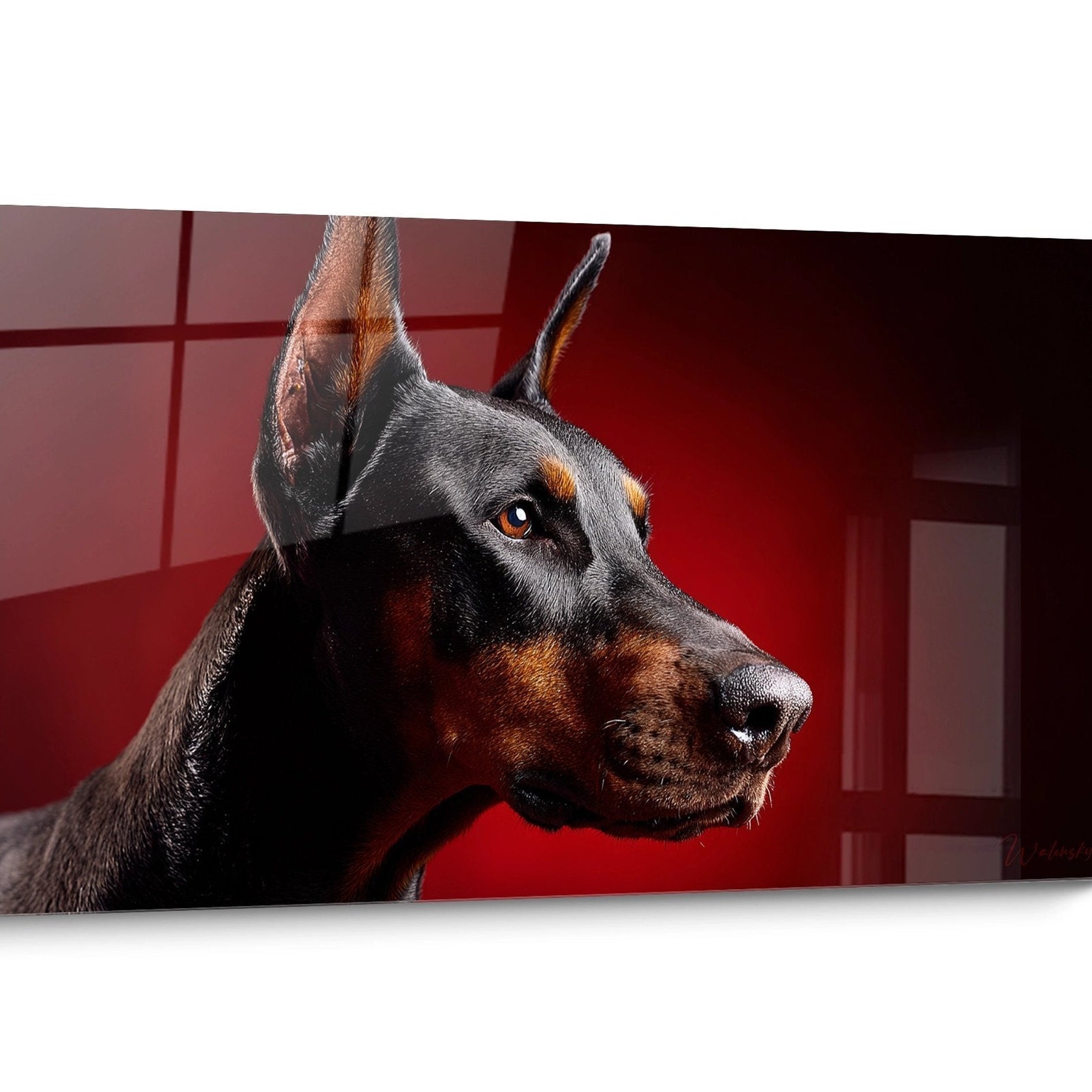 Tableau chien Doberman Portrait